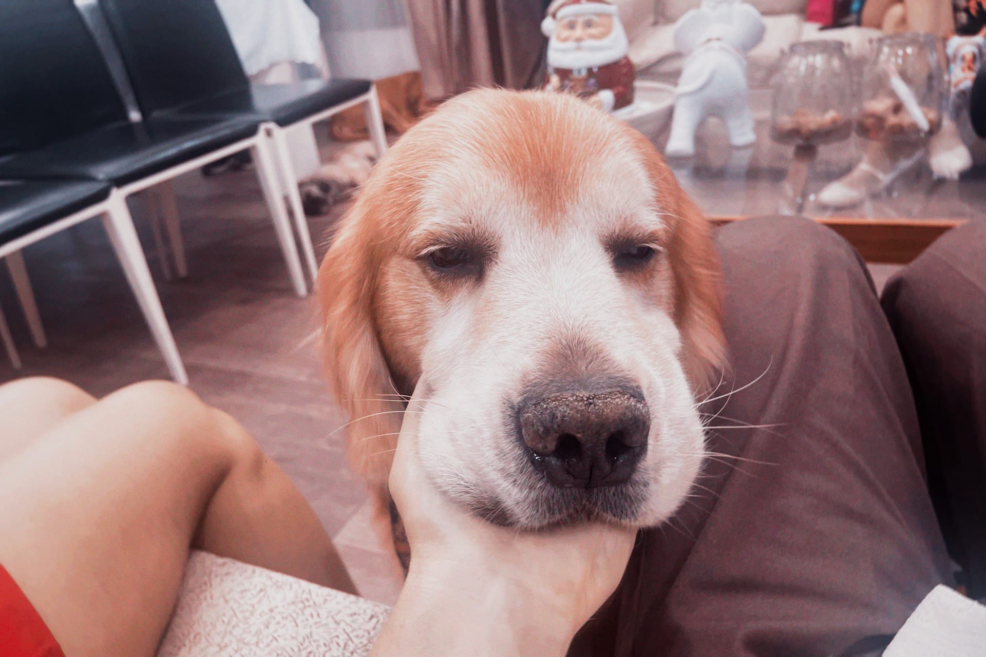 Нова година, безцелно